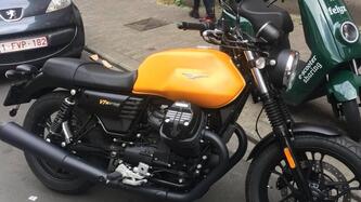 Moto Guzzi V7 III Special (2017 - 20) usata