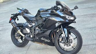 Kawasaki Ninja ZX-4R (2024 - 25) usata