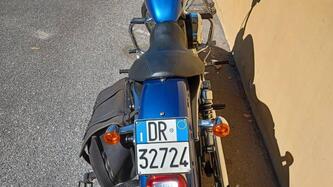 Harley-Davidson 883 Custom (2008 - 12) - XL 883C usata
