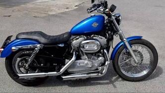 Harley-Davidson 883 Custom (2008 - 12) - XL 883C usata