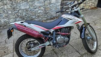 Betamotor Alp 4.0 (2008 - 17) usata