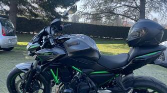 Kawasaki Z 650 (2021 - 24) usata