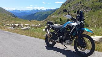 CFMOTO 450MT (2024 - 25) usata