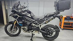 Triumph Tiger 1200 Rally Pro (2024 - 25) 