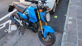 Honda MSX 125 Grom (2021 - 25) usata