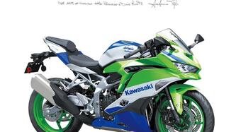 Kawasaki Ninja ZX-4RR (2024 - 25)
