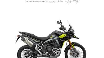 Triumph Tiger 900 Rally Pro (2024 - 25) nuova
