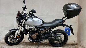 Voge Trofeo 300ACX Scrambler (2021 - 25) 