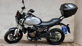 Voge Trofeo 300ACX Scrambler (2021 - 25) usata