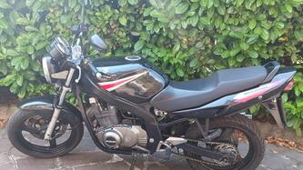 Suzuki GS 500 (2001 - 06) usata
