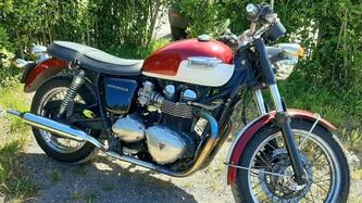 Triumph Bonneville T100 (2008 - 16) usata