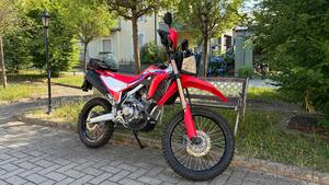 Honda CRF 300 L (2021 - 24) 