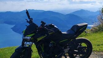 Kawasaki Z 650 (2020)