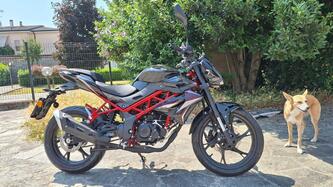 Benelli BN 125 (2021 - 25) usata
