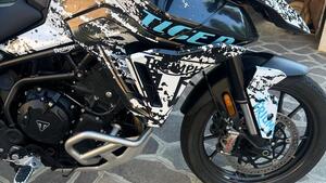 Triumph Tiger 900 GT (2024 - 25) 