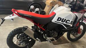 Ducati DesertX Rally (2024 - 25) 