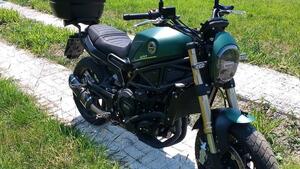 Benelli Leoncino 800 (2022 - 25) 