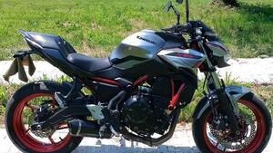 Kawasaki Z 650 (2021 - 24) 