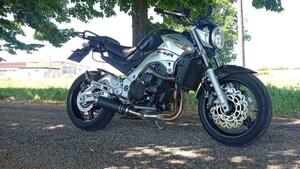 Suzuki GSR 600 (2006 - 11) 