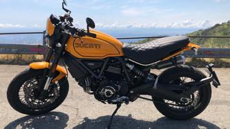 Ducati Scrambler 1100 Tribute Pro (2022 - 24) usata