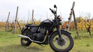 Triumph Bonneville T100 (2008 - 16) 