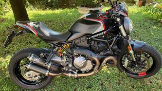 Ducati Monster 821 Stealth (2019 - 20) usata