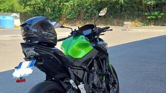 Kawasaki Z 650 Performance (2020)
