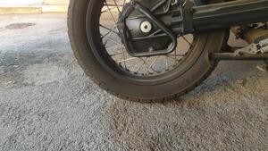 Moto Guzzi V85 TT Evocative Graphics (2021 - 23) 