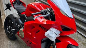Ducati Panigale V4 (2022 - 24) usata