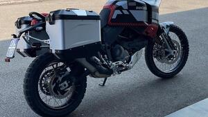 Ducati DesertX (2022 - 25) 