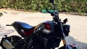Benelli Leoncino 250 (2019 - 20) 