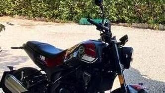 Benelli Leoncino 250 (2019 - 20)