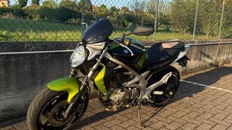 Suzuki Gladius 650 SFV (2009 - 15) usata