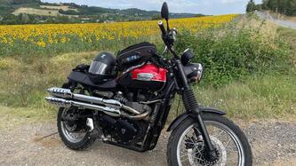 Triumph Scrambler (2006 - 17)
