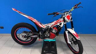 Betamotor Evo 300 2t (2012 - 16) usata