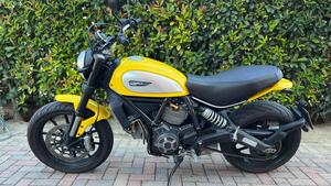 Ducati Scrambler 800 Icon (2015 - 16) 