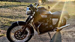 Triumph Bonneville T100 (2008 - 16) 