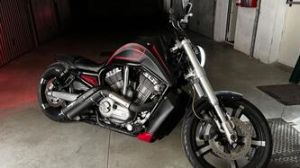 Harley-Davidson 1250 V-Rod Muscle (2009 - 17) - VRSCF usata