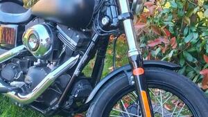 Harley-Davidson 1690 Street Bob Special (2015 - 16) - FXDB 