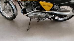 Norton  
