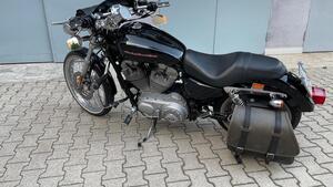 Harley-Davidson 883 Custom (2001 - 05) - XL 53C 
