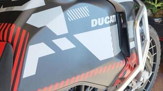 Ducati DesertX (2022 - 25) usata