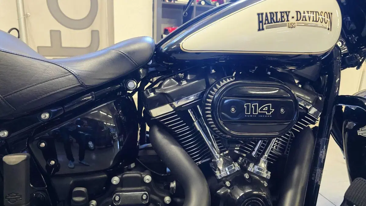 Harley-Davidson 114 Heritage Classic (2018 - 20) - FLHCS  (8)