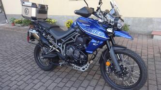 Triumph Tiger 800 XCa (2018 - 20) usata