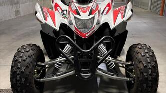 Aeon Cobra 400 (2008 - 17) usata