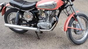 Ducati  