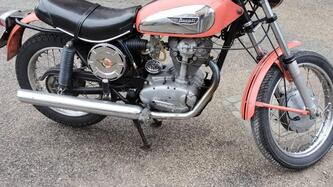 Ducati 