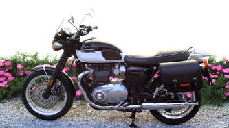 Triumph Bonneville T120 (2021 - 25) usata