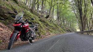 Triumph Tiger 900 GT Pro (2020 - 23) 