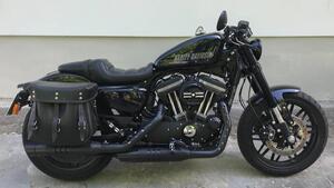 Harley-Davidson 1200 Roadster (2017 - 20) - XL 1200R 